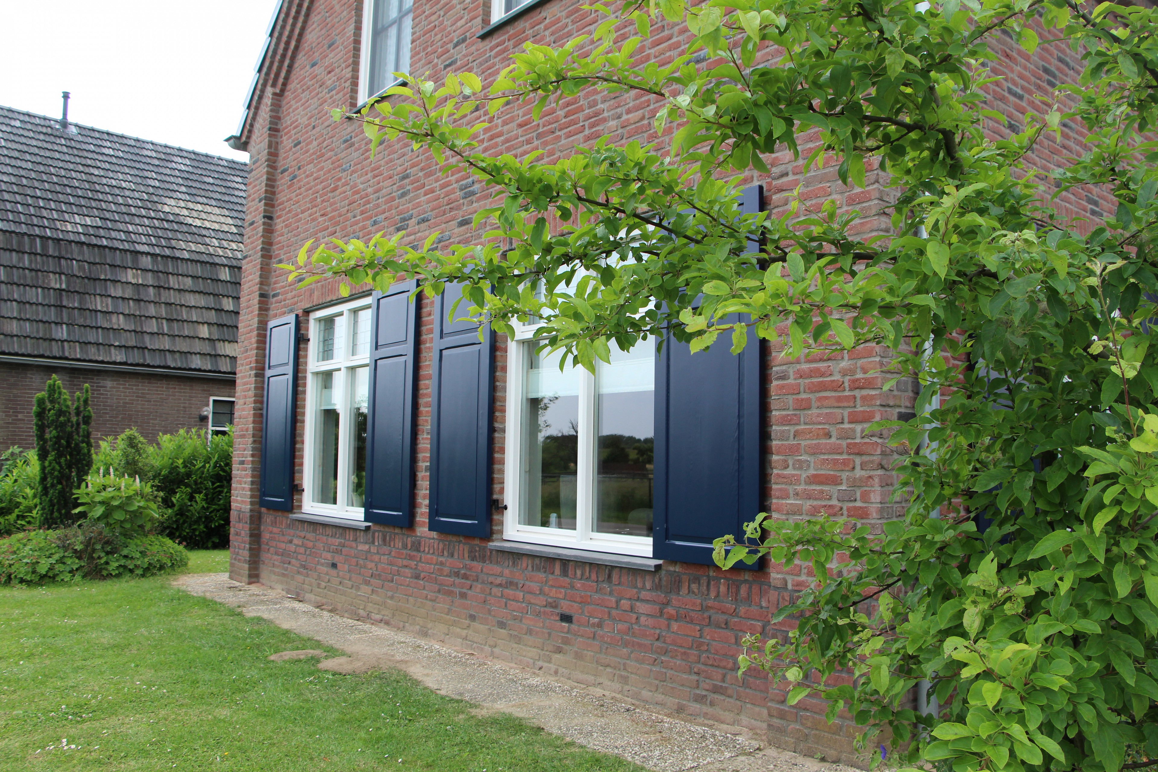 Image 8